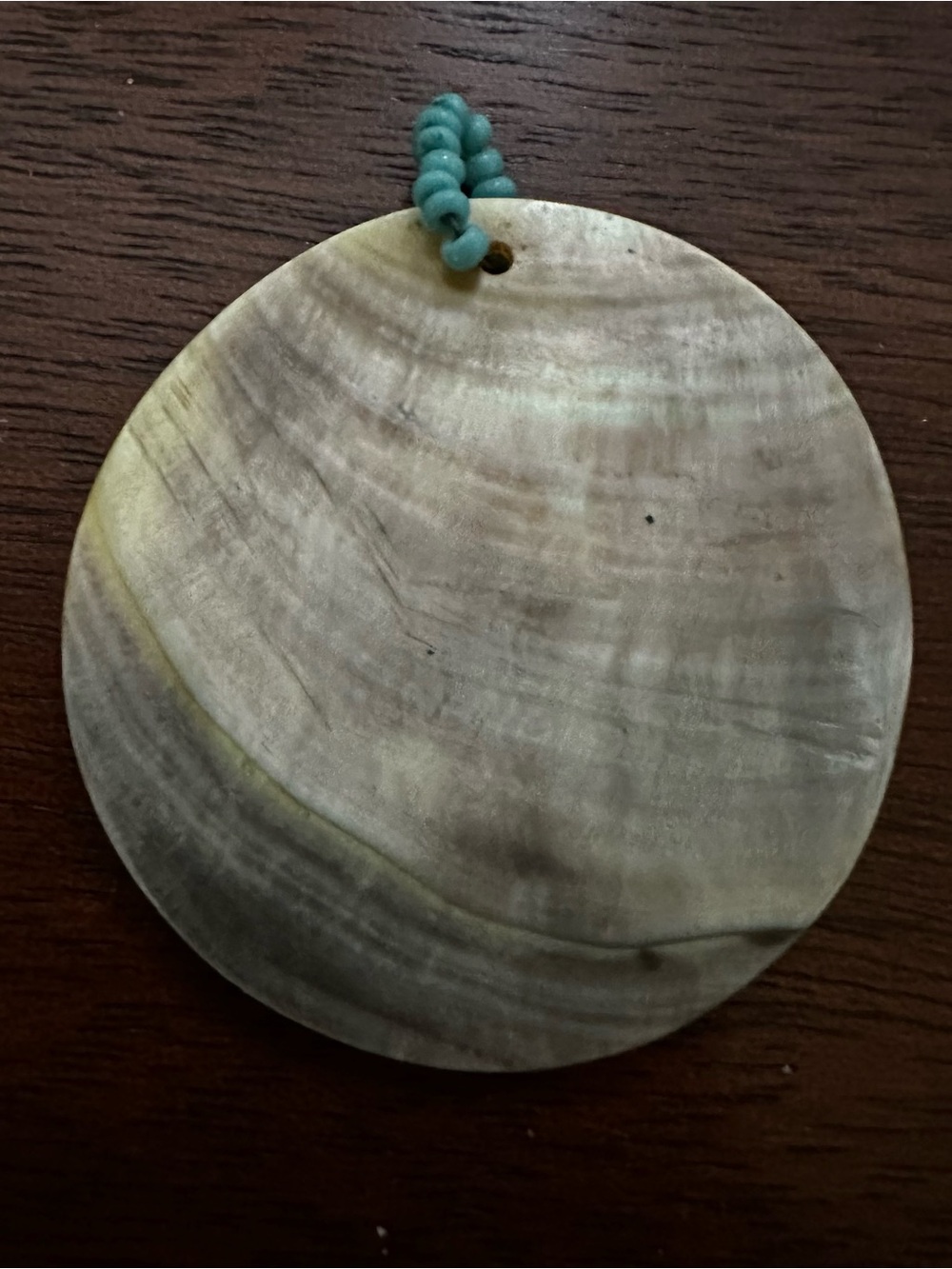 Natural Shell necklace charm Cream brown circle with Teal Bead women’s Jewelry